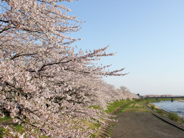 �y����ʂ�\���C���V�m_�O�ؓ����̍�����