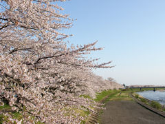 ͂߂̕Oؓ̍؂ւ̓eʐ^1