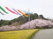 ɂ񂱐搶̑ou[WCnCh̓eʐ^1