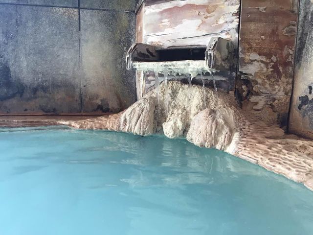 �������D�̔�������_��������