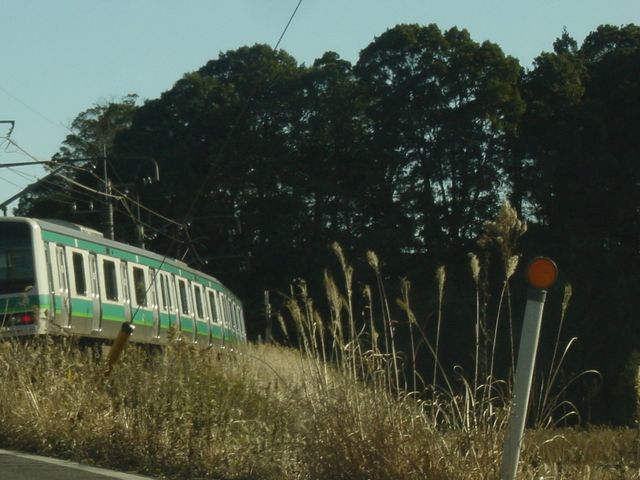 傭̎sR(RƗjǂ݂)̓eʐ^1