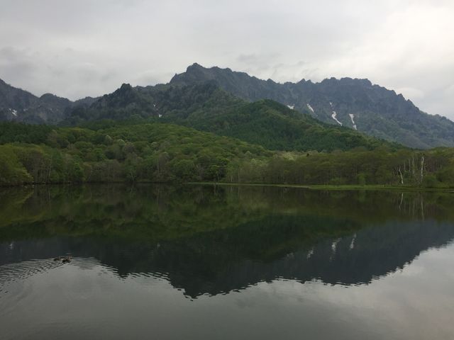 ���r�̐�i_���r