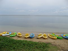 sassỷJbNKChV[Lveւ̓eʐ^1