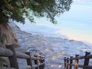 ݂ۂ񂳂̍iJ_lW]̓eʐ^4