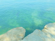 ݂ۂ񂳂̍퓇̓eʐ^3