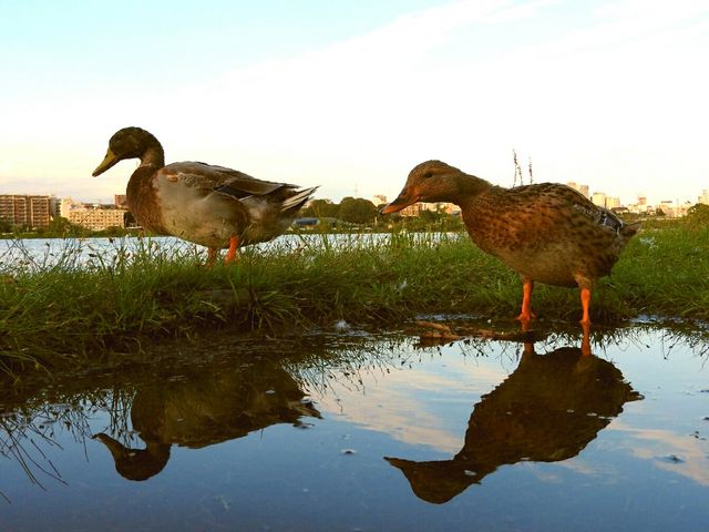 ��g�ΗV����