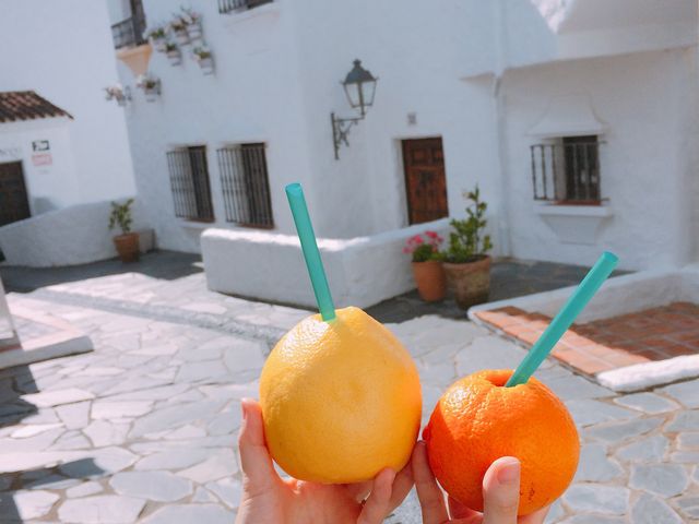 �I�����W�W���[�X_�u���n���C��