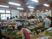 ꂨ񂳂̓̉w Ԃ̉wEȐ̓eʐ^3