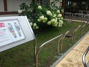 ꂨ񂳂̍L𗬎{ݐȐ̓eʐ^2