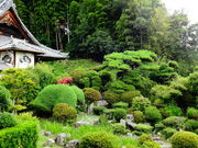 ���ǁ[����̏\�T���@�̓��e�ʐ^1