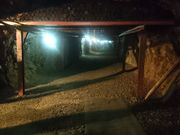 ꂨ񂳂̏ێRn̓eʐ^5