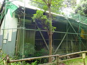 ���ǁ[����̗�؉��~�̓��e�ʐ^1