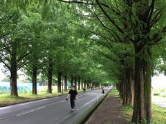 Ȃ̃^ZRCA؂ւ̓eʐ^1