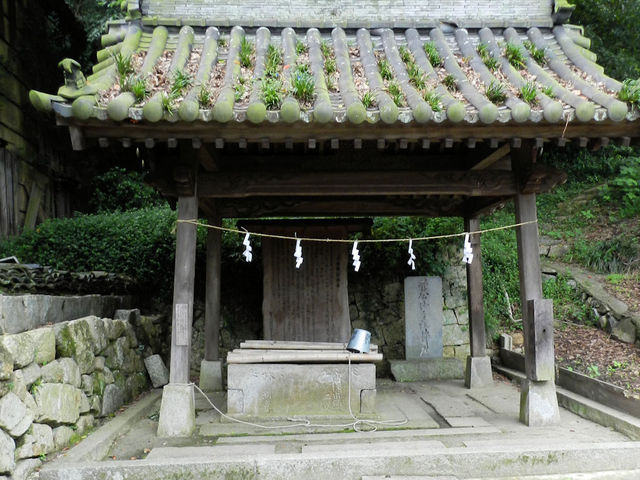 �V���{�̌�����_���������ݕۑ��n��