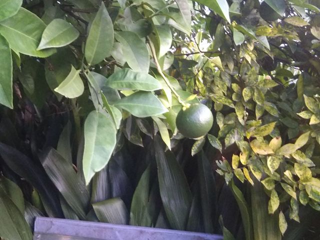 �_�ޏ��̕�ē���_�_�ޏ��̕�