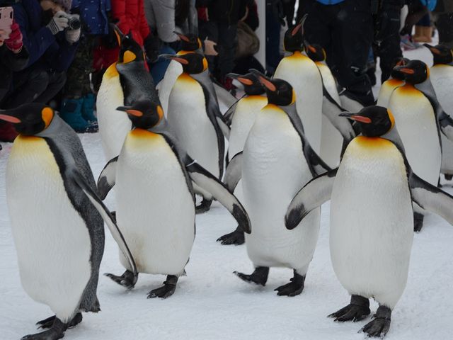 �y���M��_���R������