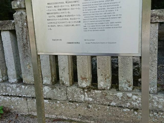 �吙_�ʐ_�Ђ̑吙