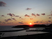 yosshŷꂷƂ ÉԊق̓eʐ^3