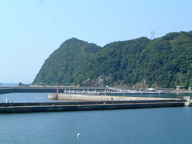 Ԃ񂳂݂̂񂮑哇̓eʐ^2