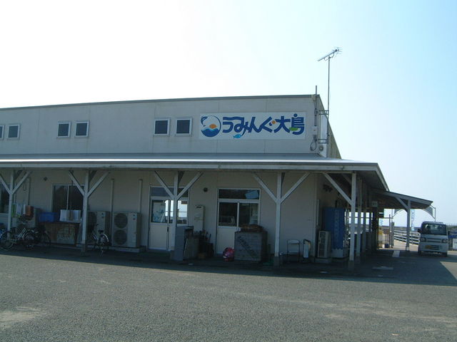 ��t������_�C�m�̌��{�݂��݂񂮑哇