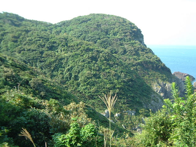 �Ԃ���񂳂�̃n�}�q�T�J�L�̓��e�ʐ^3