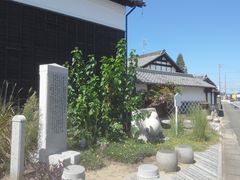 �T�r�L����̑O��Ɖ��~�Ղւ̓��e�ʐ^1