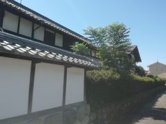 �T�r�L����̑O��Ɖ��~�Ղւ̓��e�ʐ^2