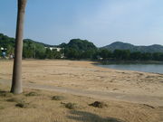 �Ԃ���񂳂�̂��񂷊C������̓��e�ʐ^1