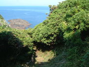 �Ԃ���񂳂�̃n�}�q�T�J�L�̓��e�ʐ^1