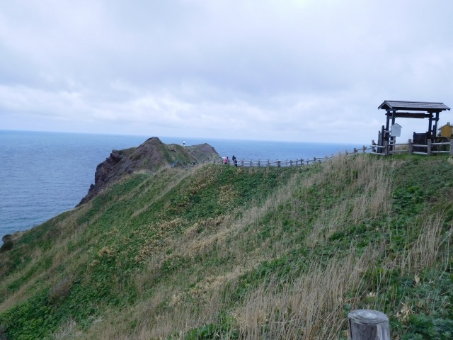 ���l�֐�_�_�Ж�