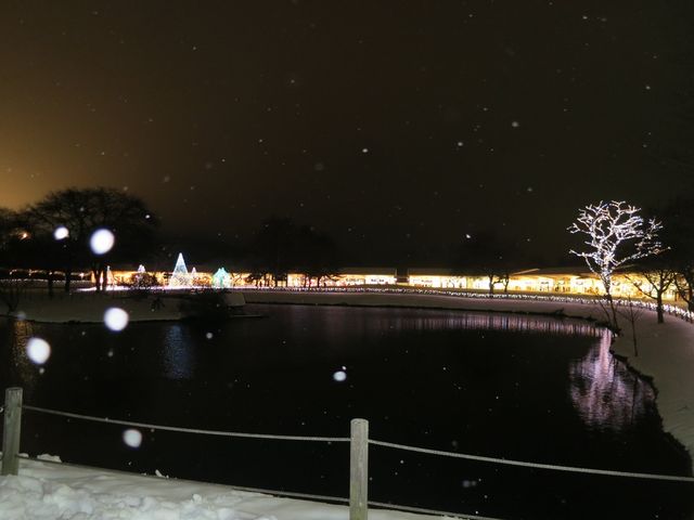 �~�̃v�����X�V���b�s���O�v���U_�y���E�v�����X�V���b�s���O�v���U