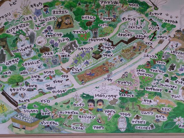 ����E���̐X����_���襖��̐X����