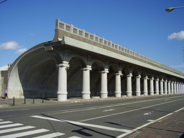 �ƂĂ��傫���ł�_�t���`�k�h�g��h�[��