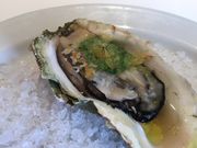 g̃K{ Ah ICX^[o[ tX̓eʐ^2