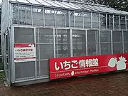 `񂳂̓̉w@ɂ݂̂̓eʐ^1