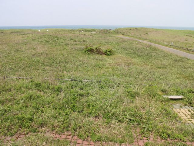 �܂�������ƉԂɂ͑���_�͂܂Ȃ��̋u����