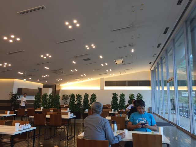 �����V�䂪�C��������_�⌳�������낷���� �┨