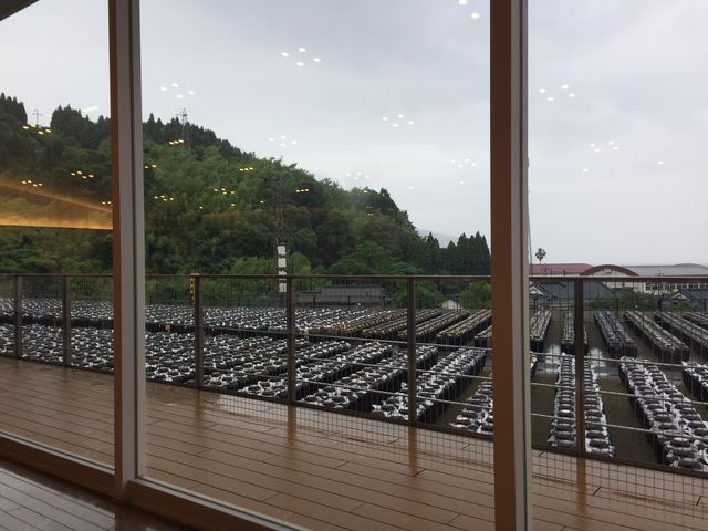 �┨��]�݂Ȃ���_�⌳�������낷���� �┨