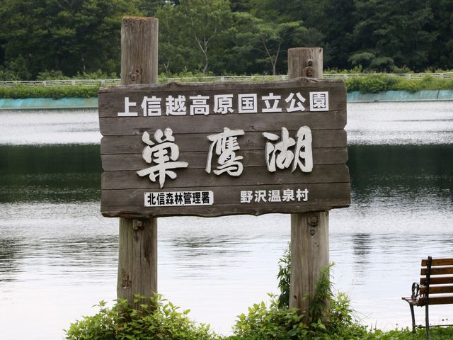 �����_�����