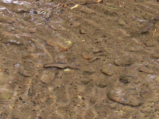 �ނ�x�@����Ȃ���R_�����