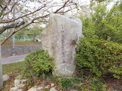 ���ڂ炳��̔m�ԋ��(��q�j�ւ̓��e�ʐ^1