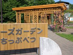 񂳂̃[YK[fՂׂւ̓eʐ^1