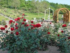 񂳂̃[YK[fՂׂւ̓eʐ^2