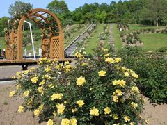 񂳂̃[YK[fՂׂւ̓eʐ^3