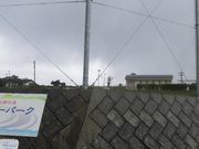 ڂ肳̊L߂̗Tz[p[N̓eʐ^1