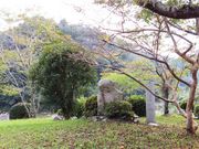 ڂ炳̔mԋ(qj̓eʐ^3