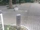 Kuda12さんの青山公園（東京都港区）の投稿写真1