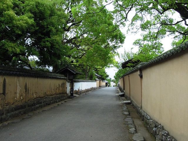 �����̕ǂ��������Ɖ��~�Q_�n�z���Ɖ��~