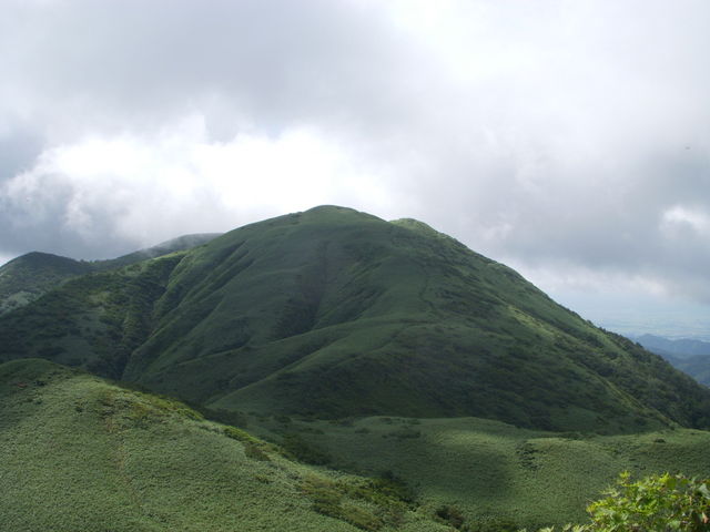 ���ɕ���ꂽ�^���x�B�����x����B_�^���x