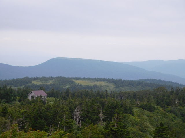 �U��Ԃ�ƂȂ��炩�ȑ唒�X�������܂��B_�����R